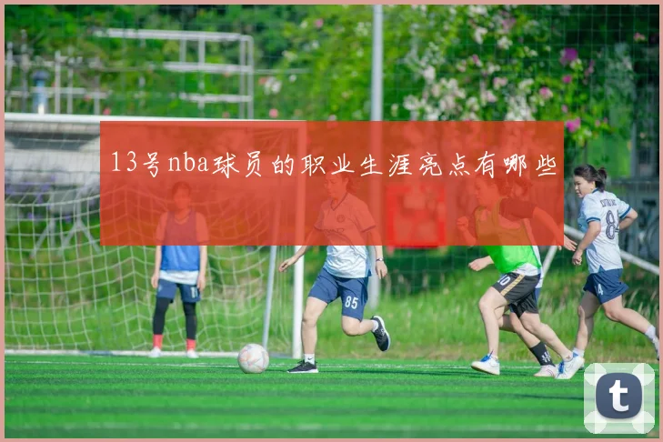 13号nba球员的职业生涯亮点有哪些