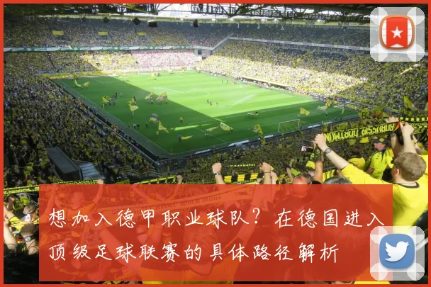 想加入德甲职业球队？在德国进入顶级足球联赛的具体路径解析