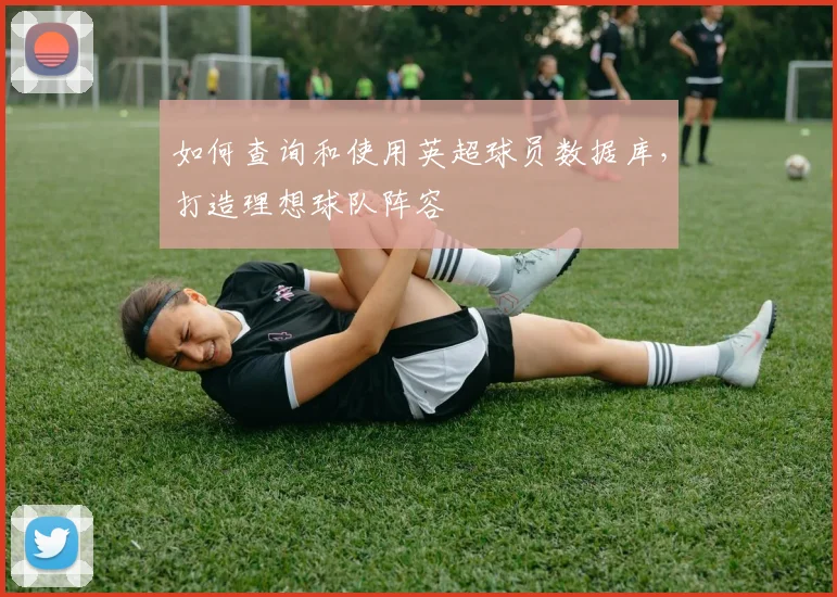 如何查询和使用英超球员数据库，打造理想球队阵容