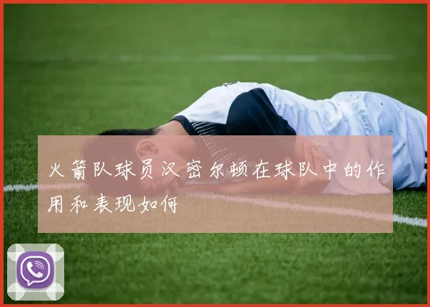 火箭队球员汉密尔顿在球队中的作用和表现如何