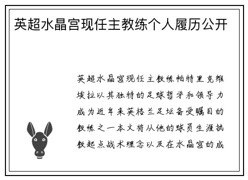 英超水晶宫现任主教练个人履历公开