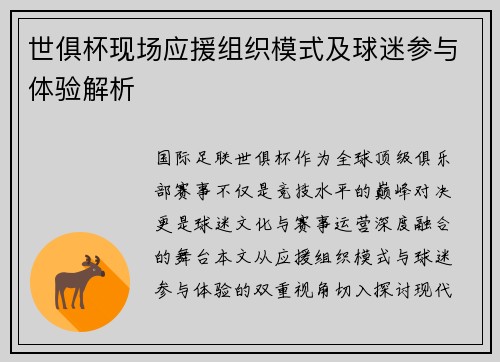 世俱杯现场应援组织模式及球迷参与体验解析